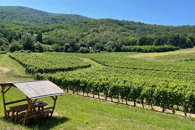 2 day Boat Trip and City Tour in Tokaj Hungary with Wine Tasting - Key points to know before booking