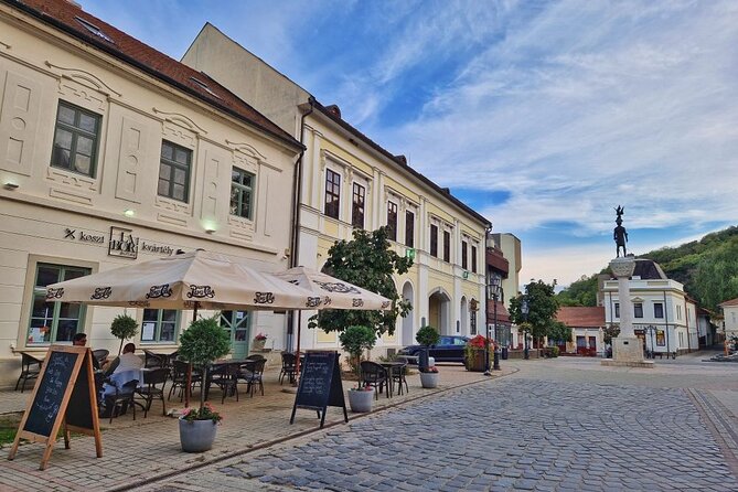 2 day Boat Trip and City Tour in Tokaj Hungary with Wine Tasting - Butterflies, coffee, and Tokaj’s pedestrian street