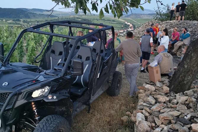 2 Days Tokaj Wine Tour in Mád Hungary with Meals - Day two at a new Mád wine bar