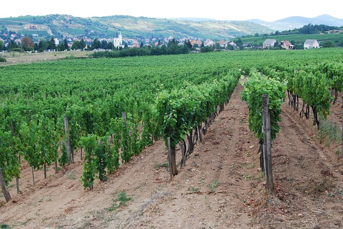 2 Days Tokaj Wine Tour in Mád Hungary with Meals - What the $604.92 price includes
