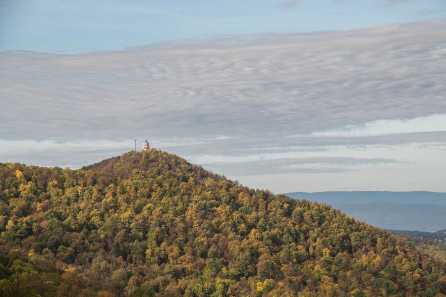 3Hour Outdoor Budapest Normafa Hike&History With a Historian - Why Normafa makes a good break from central Budapest