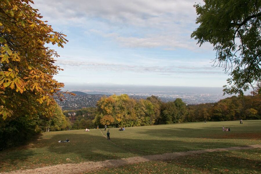 3Hour Outdoor Budapest Normafa Hike&History With a Historian - Meeting at Széll Kálmán Square