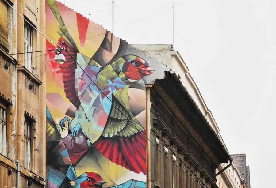 Alternative Budapest Walking Tour - Music venues, galleries, and the city after dark