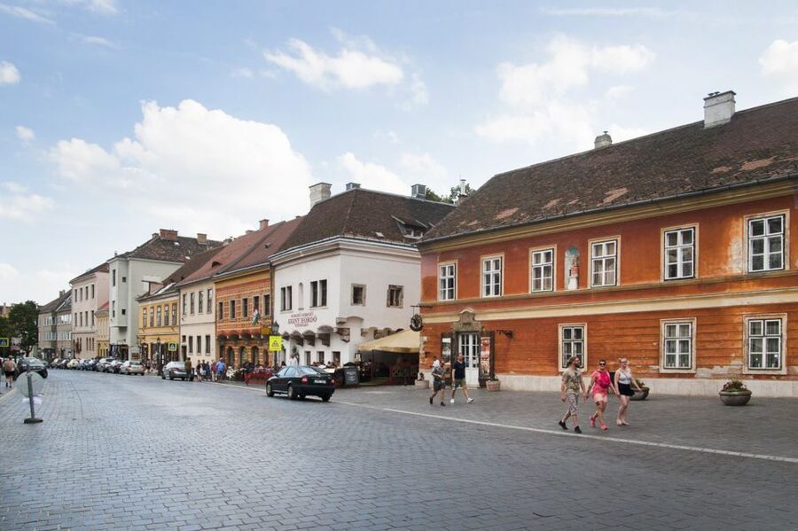 Budapest: Buda Castle Walking Tour in German - Why Buda Castle works best as a walking tour