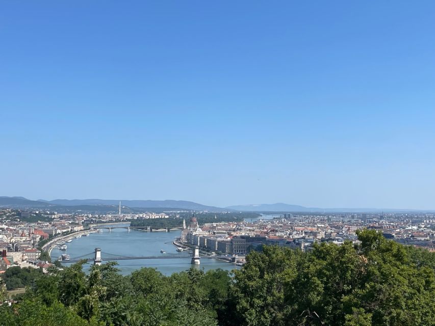 Budapest: Buda Hills 1/2-Day Private e-bike Adventure Tour - The forest descent back toward the Danube