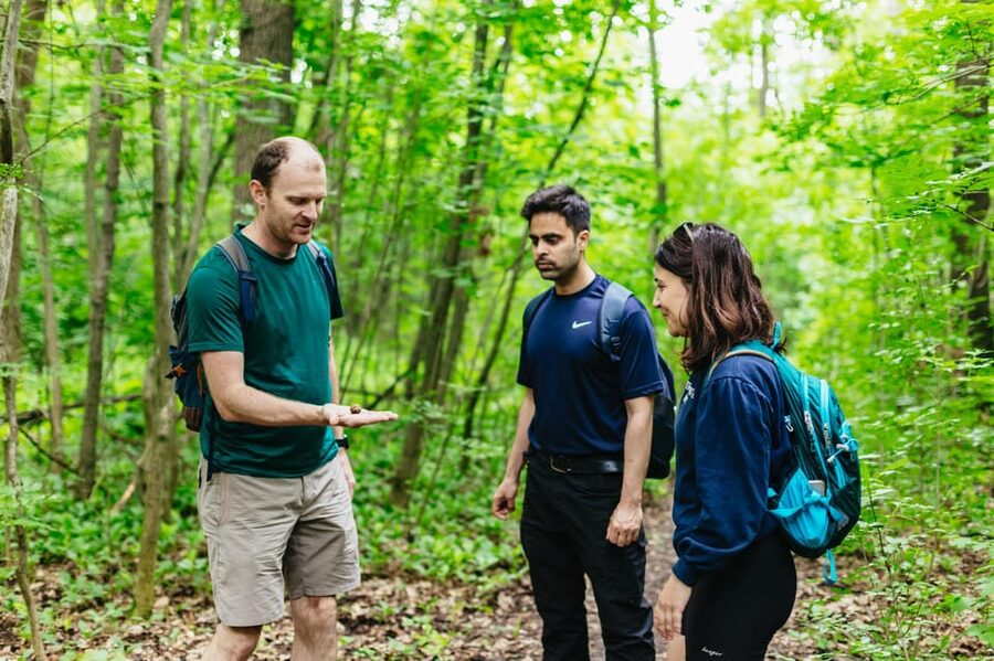 Budapest: Buda Hills Guided Hiking Tour with Optional Lunch - Key points to know before you book
