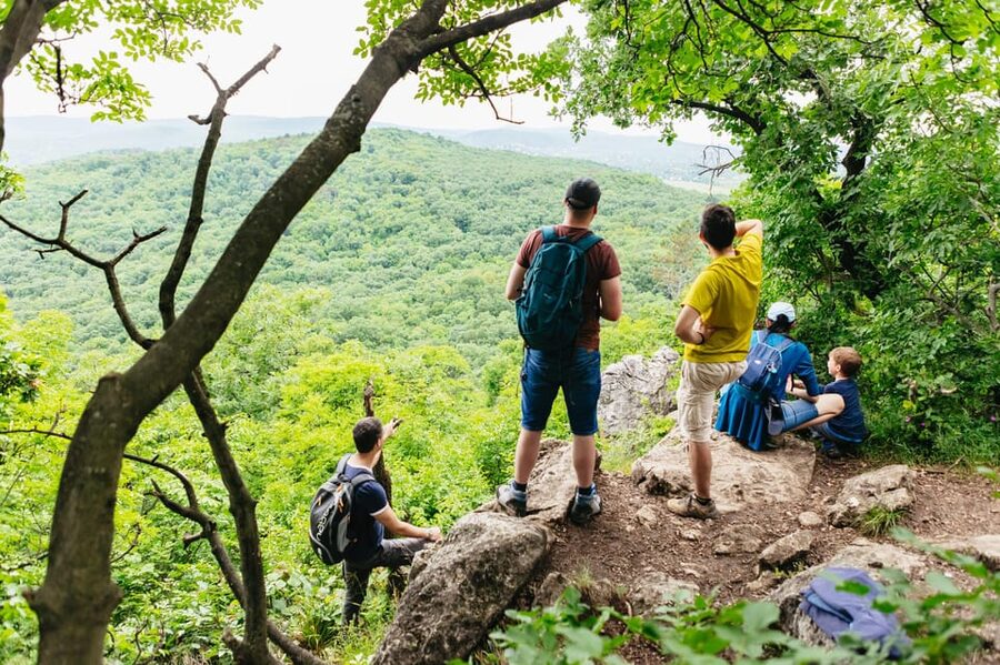 Budapest: Buda Hills Guided Hiking Tour with Optional Lunch - Leaving central Budapest by public bus