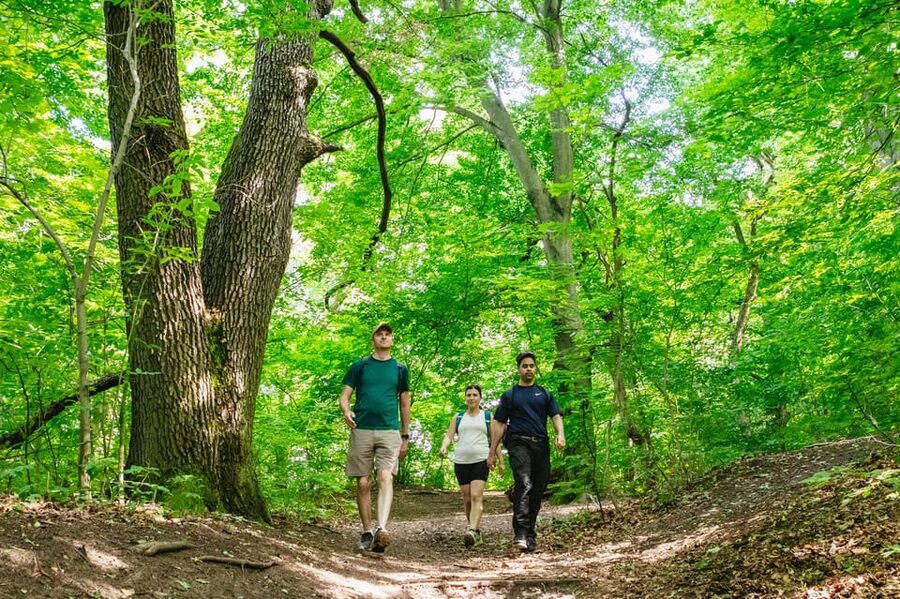 Budapest: Buda Hills Guided Hiking Tour with Optional Lunch - Normafa gives you the first city panorama