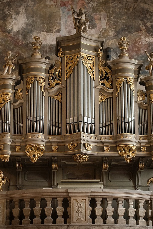 Budapest: Concert on the Oldest Working Organ in the City - The musicians and special performance dates