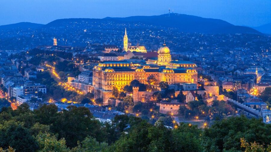 Budapest Full-Day Private Guide Services - Choosing a theme: food, wine, history, or photography