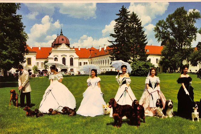 Budapest Gödöllő Palace Royal ‘Sisi’ Residence Half-Day Tour - The multilingual tour problem