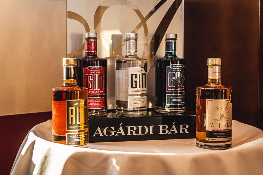 Budapest: Hungarian Whisky, Gin, and Pálinka Tasting - Key points to know before you book