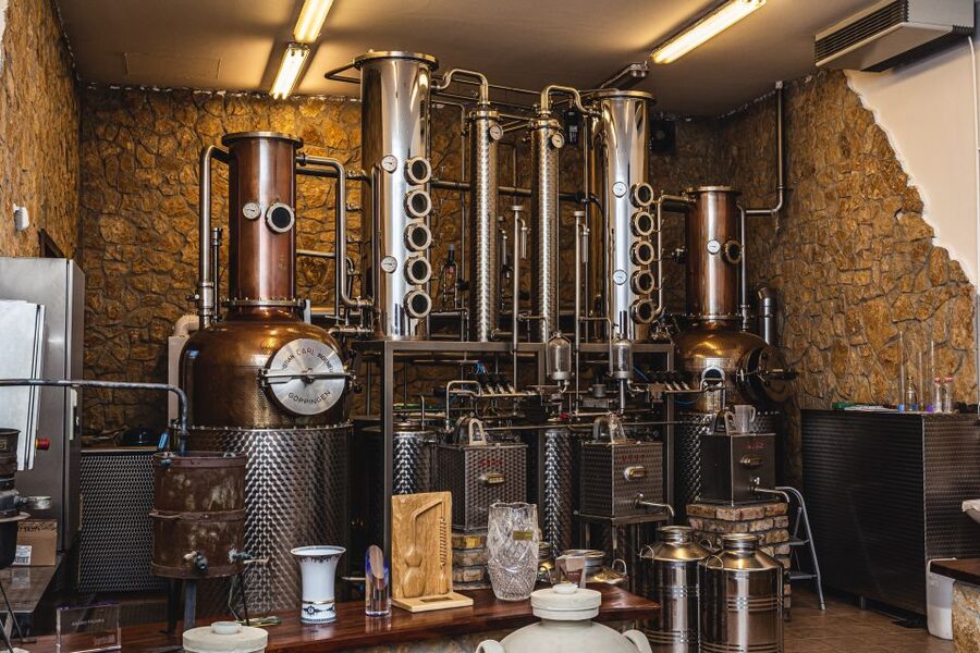 Budapest: Hungarian Whisky, Gin, and Pálinka Tasting - Miki’s guiding makes the difference