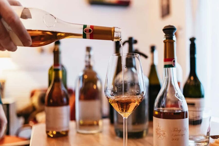 Budapest: Hungarian Wine Tasting with 7 Wines and Tapas - Seven wines and a useful introduction to local grapes