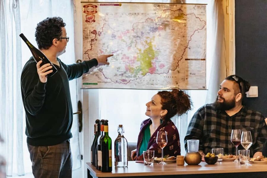 Budapest: Hungarian Wine Tasting with 7 Wines and Tapas - What the two-hour schedule feels like