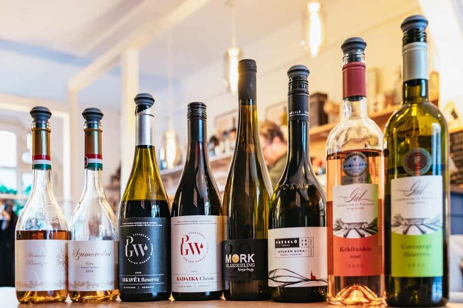 Budapest: Hungarian Wine Tasting with 7 Wines and Tapas - Who should book this Budapest wine tasting?