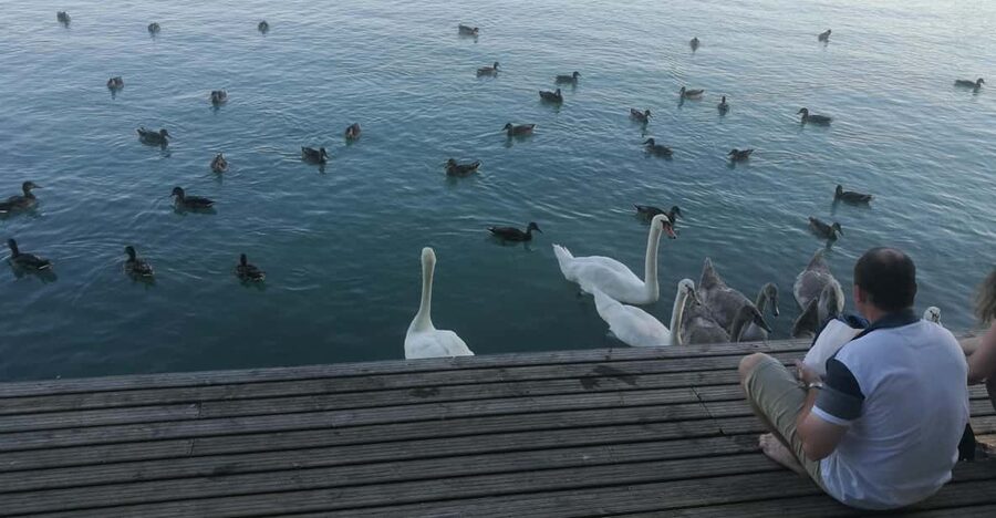 Budapest: Lake Balaton & Herend Porcelain Private Day Tour - Tihany Peninsula and its thousand-year-old abbey