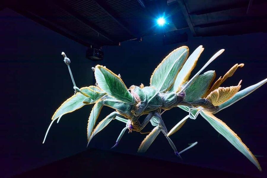 Budapest: Light Art Museum - Immersive New Media Experience - How crowded is the experience?
