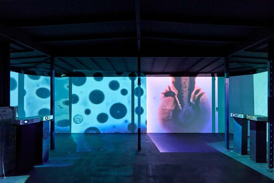 Budapest: Light Art Museum - Immersive New Media Experience - Who will enjoy the Light Art Museum most?