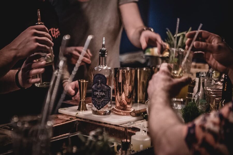Budapest - Opera Gin Distillery Tour - Key points to know before you go