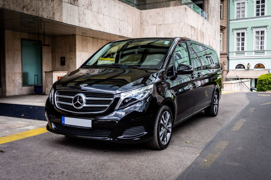 Budapest: Private Luxury Sightseeing Tour - City Park, Heroes Square, and Andrassy Avenue