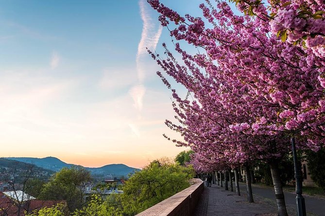 Budapest Private Walking Tour - City Park And Széchenyi Bath Culture