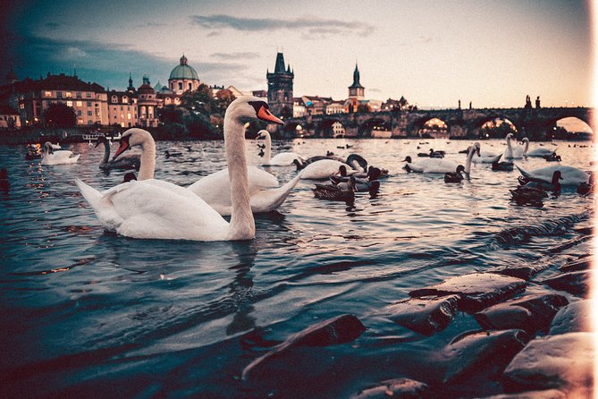 Budapest to Prague - Private Transfer with 2 hours of Sightseeing - Who will get the most from this transfer?