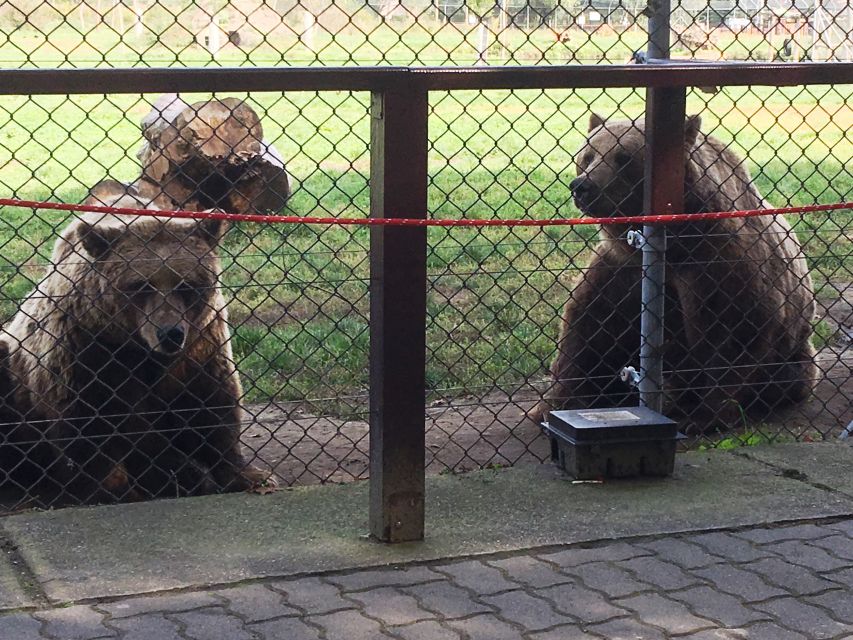 Budapest: Transport & Guided Tour of Bear and Wolf Sanctuary - Booking, cancellation, and language details
