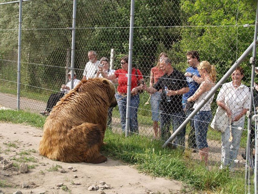 Budapest: Transport & Guided Tour of Bear and Wolf Sanctuary - Meeting at Batthyány tér beside the Danube