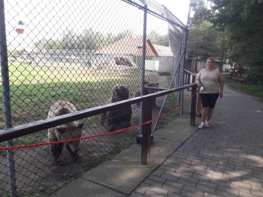 Budapest: Transport & Guided Tour of Bear and Wolf Sanctuary - Seeing brown bears close to the fence