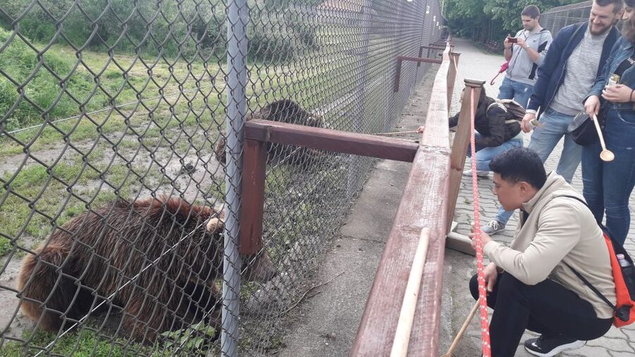 Budapest: Transport & Guided Tour of Bear and Wolf Sanctuary - The 50-minute drive to Veresegyház