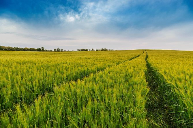 Budapest-Vienna One-Way Sightseeing Transfer - Who should choose this day?