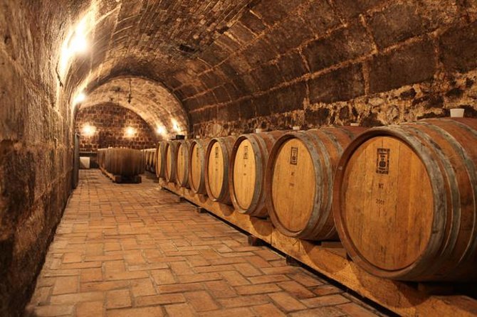 Countryside Half-day Gastro-Wine Tour from Budapest Meal & pickup - Key points to know before booking