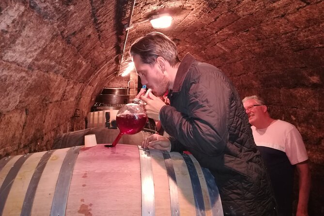 Countryside Half-day Gastro-Wine Tour from Budapest Meal & pickup - What could disappoint you
