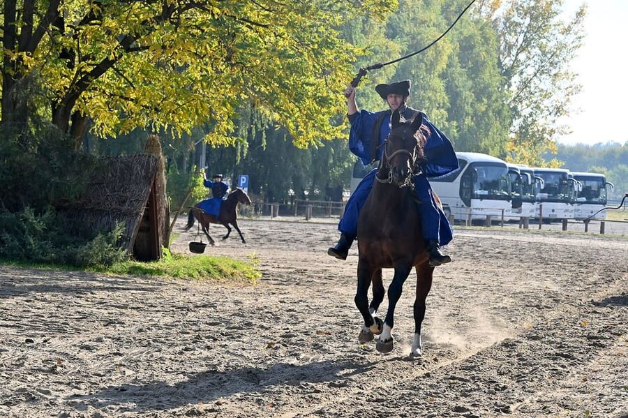 Countryside ranch, horse show & lunch - Who will enjoy this ranch tour most