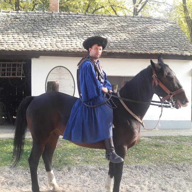Countryside ranch, horse show & lunch - What the $127 price really covers