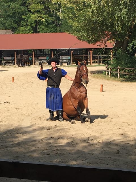 Countryside ranch, horse show & lunch - Practical details for a comfortable day