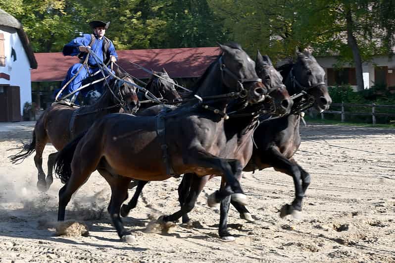 Countryside ranch, horse show & lunch - Meeting the Hungarian cowboys