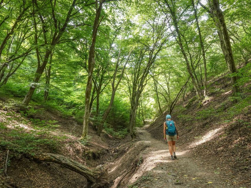 Danube Bend Hiking and Kayaking Adventure - Key points at a glance
