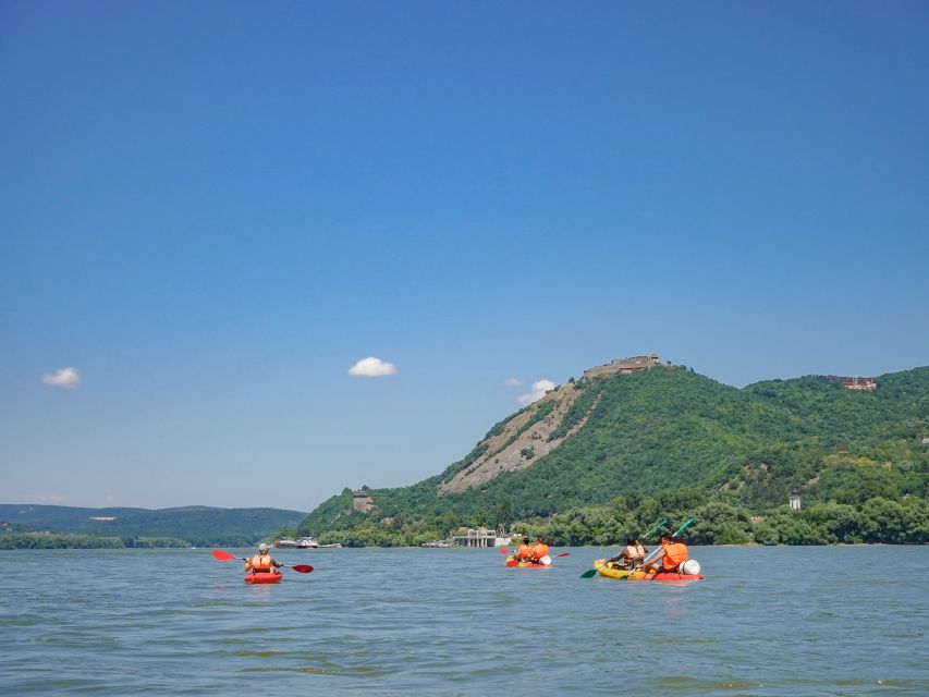 Danube Bend Hiking and Kayaking Adventure - What makes the old Beech Tree forest special
