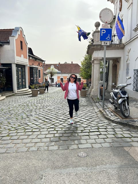 E-Bike Tour to Szentedre - One and a Half Hours in Szentendre