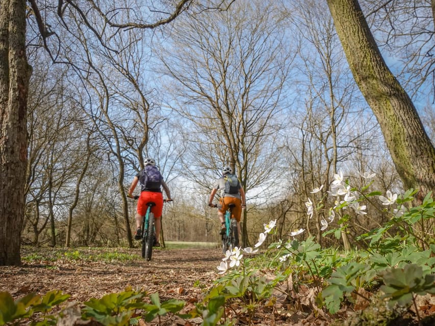 E-Mountain Bike Adventure in the Danube Bend - What You Get for $186