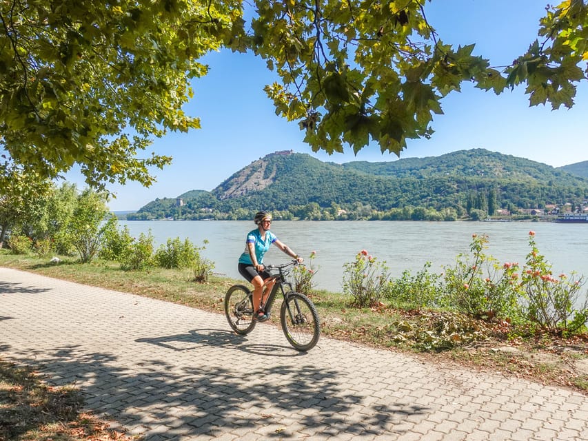 E-Mountain Bike Adventure in the Danube Bend - Two Hours Among Beech and Oak Trees