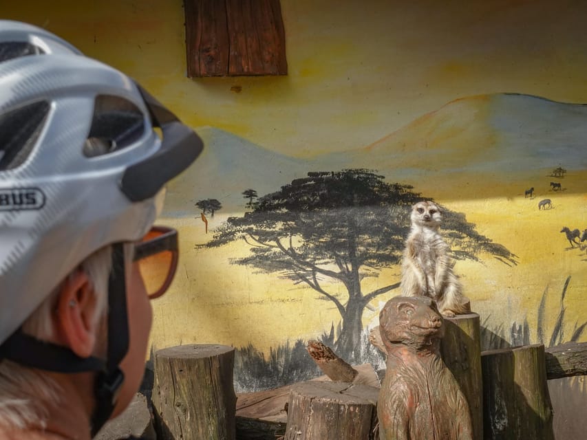 E-Mountain Bike Adventure in the Danube Bend - From Budapest to Nagymaros in One Hour