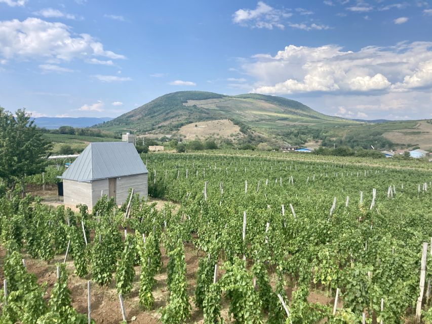 Eger: Countryside, Culture, and Wine Private Tour - Key points to know before booking