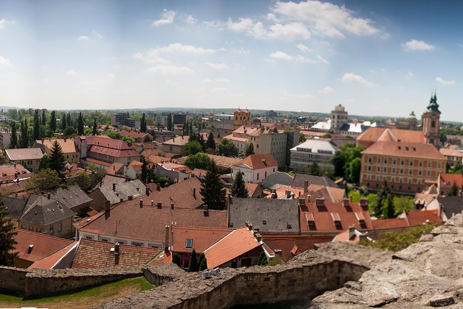 Eger Private Full-Day Wine Tasting Tour and Sightseeing from Budapest - Goulash, Country Food, and a Proper Pause