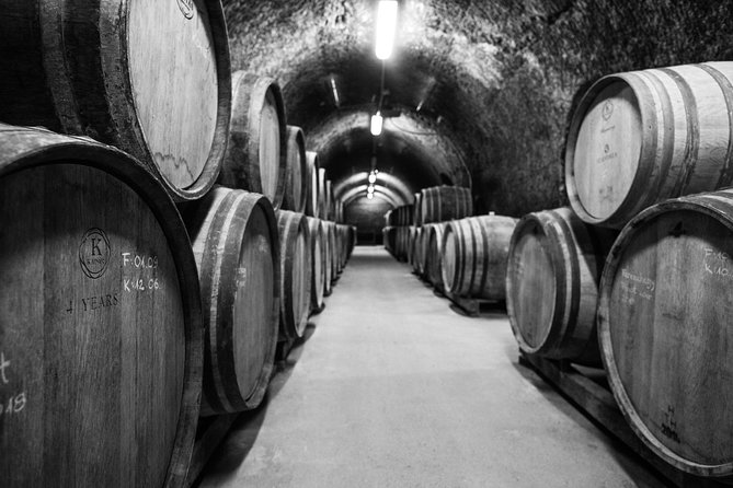 Eger Private Full-Day Wine Tasting Tour and Sightseeing from Budapest - What the Private Format Adds