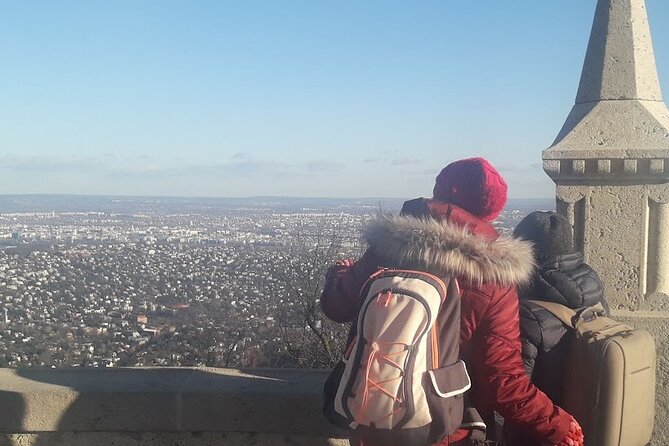 Elisabeth tower visit by chairlift and private transport - Who should book this experience?