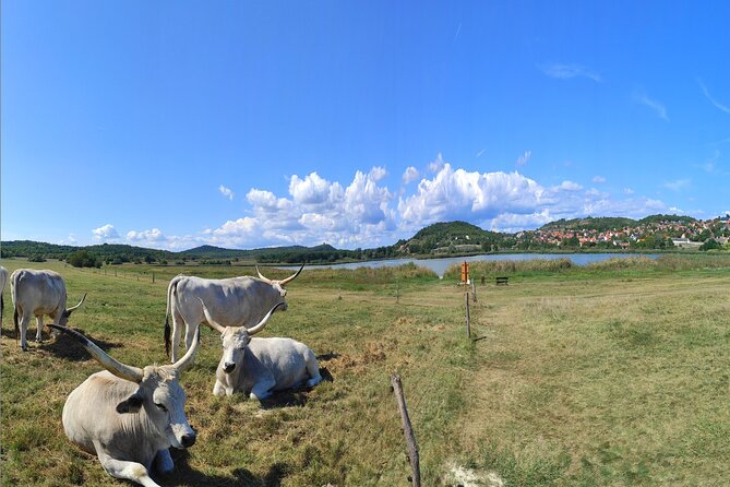 Essence of Hungarian Rural Beauty: 5 Hour Balaton Private Tour - Crossing Lake Balaton on the Szantod-Tihany ferry