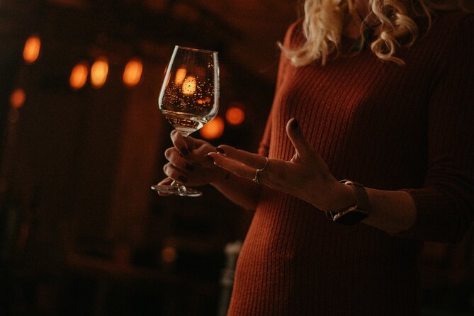 Food and Wine Tasting in Budapest City Center with Sommelier - Who should book this Budapest tasting?